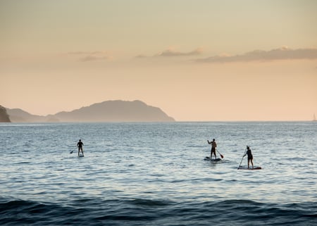 Exp_SUP_Image 1 (1)-1