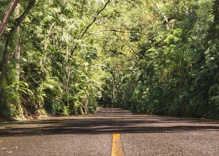 How to Get to Las Catalinas Flights, Transfers & Easy Arrivals (7)