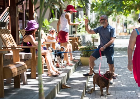 Top Family Adventures near Las Catalinas Doorway Villas (8)