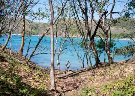 Your Doorway to Las Catalinas Whats New for Spring 2026 (4)