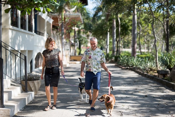 From anywhere in Las Catalinas, everything is just a short and beautiful walk away.