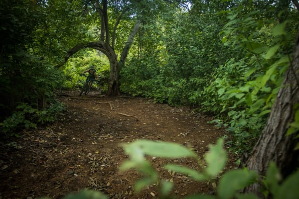 The Hiking and Mountain Biking Trails of Las Catalinas-15