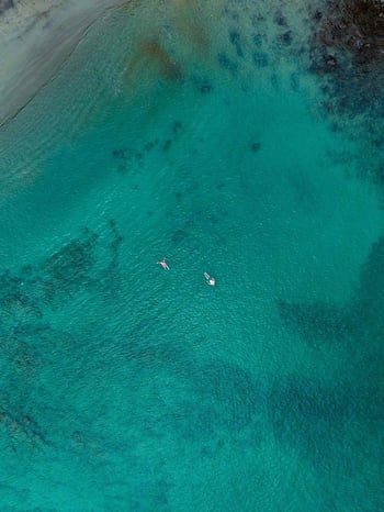 WhatsApp Image 2025-04-02 at 08.26.08