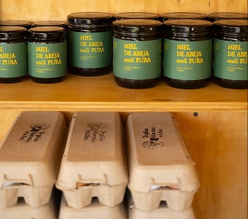 WhatsApp Image 2025-06-11 at 23-37-43