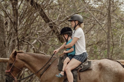 WhatsApp Image 2025-06-11 at 23.22.45