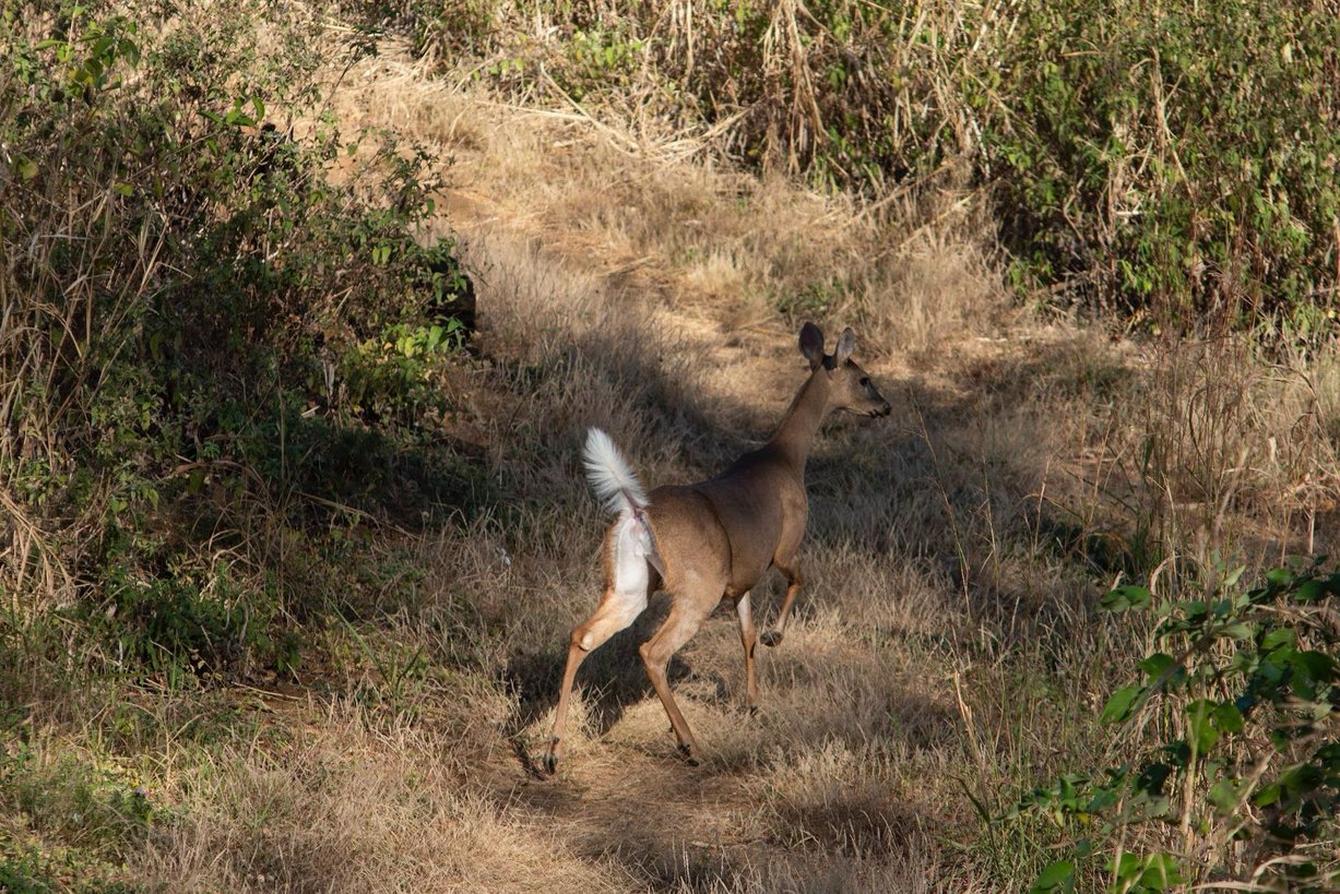 WhatsApp Image 2025-06-11 at 23.29.56