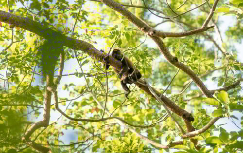 WhatsApp Image 2025-06-11 at 23.32.03