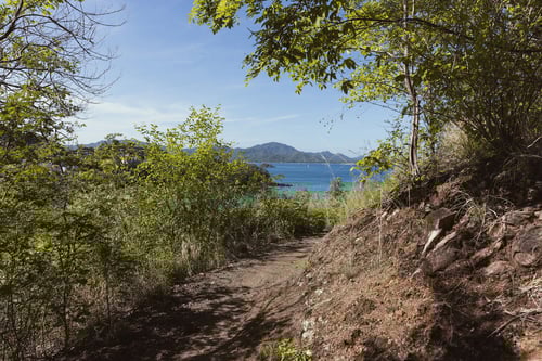 WhatsApp Image 2025-06-11 at 23.33.36