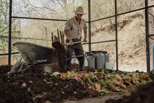 WhatsApp Image 2025-06-11 at 23.36.31