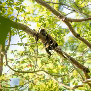 WhatsApp Image 2025-09-17 at 21-41-55